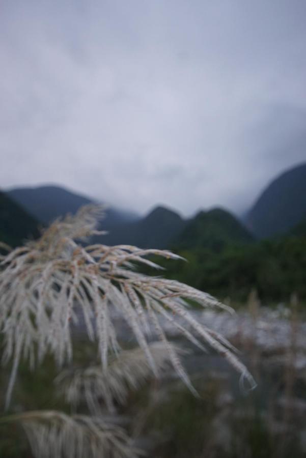 Songyue Homestay Jingmei Exteriér fotografie
